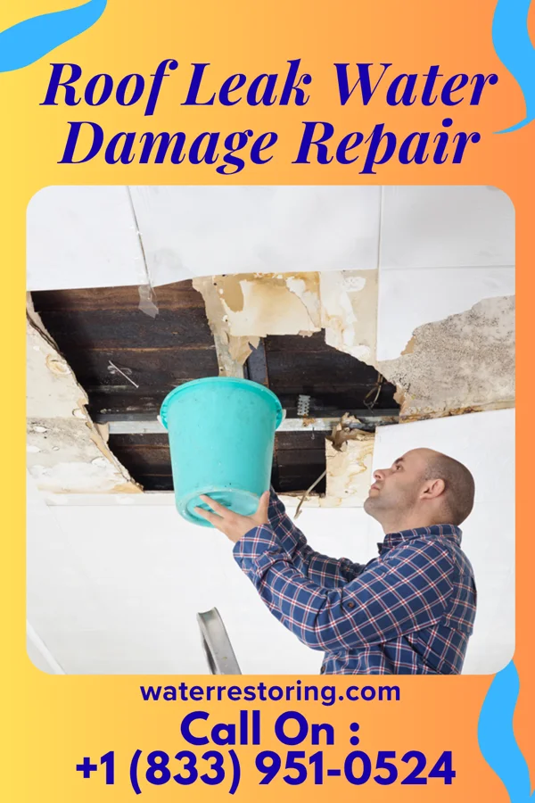 Roof Leak Water Damage Repair in Colona, IL
